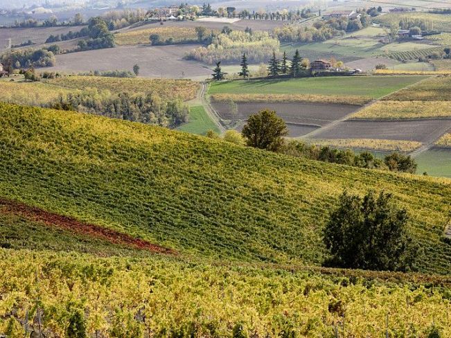 foto panorama Monferrato