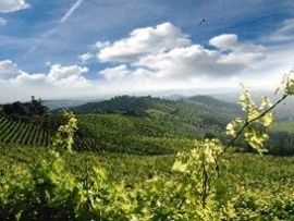 Natura, bike & trekking