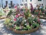Coniolo e Pontestura, le immagini
