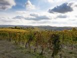 Eventi a Casale Monferrato e dintorni: sabato 10 e domenica 11 ottobre