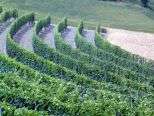 il Monferrato Patrimonio Unesco