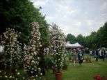 Riso & Rose in Monferrato 2014: quando e dove