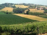 Gli eventi nel weekend del 26 e 27 agosto a Casale M.to, nel Monferrato e nella vicina Lomellina