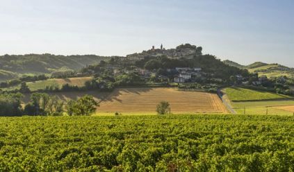 The Monferrato area in and around