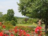 Eventi a Casale Monferrato e dintorni nel weekend di sabato 22 e domenica 23 maggio