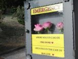 Appuntamenti a Casale Monferrato e dintorni sabato 15 e domenica 16 febbraio 