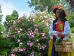 Al via la diciottesima edizione dì ‘Riso & Rose in Monferrato’