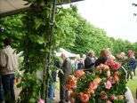 Il programma del secondo weekend di Riso & Rose, 17 e 18 maggio