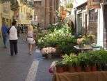 Riso & Rose torna il 28 e 29 settembre con Casale Monfleurs