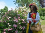 RISO & ROSE IN MONFERRATO 2016