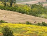 Eventi a Casale Monferrato e dintorni : sabato 1 e domenica 2 agosto