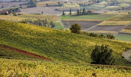 EVENTI A CASALE MONFERRATO E DINTORNI 