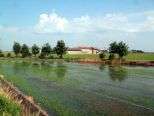Biodiversità e connettività ecologica degli ambienti agricoli