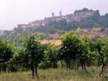 Appuntamenti di sabato 10 e domenica 11 agosto a Casale Monferrato e dintorni