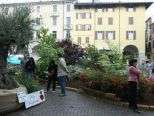 Aspettando Riso & Rose 2014