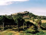 Appuntamenti di sabato 5 e domenica  6 ottobre  a Casale Monferrato e dintorni