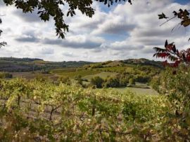 In viaggio nel Monferrato Casalese