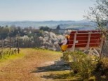 Big Bench nel Monferrato: panchine giganti in posizioni panoramiche
