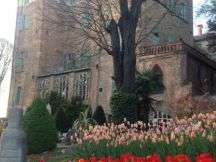 "Incanto tra le mura" al Castello di Piea d'Asti
