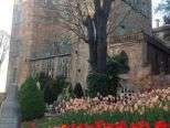 "Incanto tra le mura" al Castello di Piea d'Asti