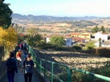 La Camminata dell'Arte a Pontestura