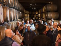 Il futuro della grappa? Abbinamenti, territorio e cultura