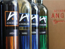 Natale all'Azienda Agricola Angelini ad Ozzano