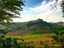 Vendemmia in arte: una tavolozza di colori - 7 Ottobre 