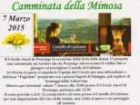 Camminata della Mimosa