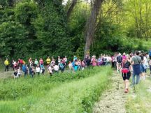 Camminare in Monferrato "Sulle cime di Mombello Monferrato" Domenica 14 Maggio