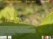 Girotondo Sacro, il 14 marzo al Sacro Monte di Crea RINVIATO