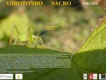 Girotondo Sacro, il 14 marzo al Sacro Monte di Crea RINVIATO