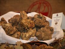 Tempo di tartufo in autunno in Monferrato!
