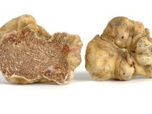 Holiday Truffle Weekend 