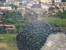 TORNA A MURISENGO DOMENICA 15 GIUGNO    LA TRIFOLA NOIR