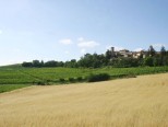Camminare il Monferrato a Cella Monte domenica 14 maggio