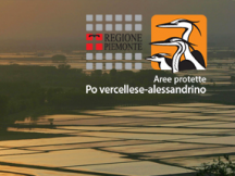 Settembre… nelle Aree protette del Po vercellese-alessandrino