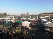 Mercatino dell'Antiquariato torna a Casale Monferrato domenica 10 aprile