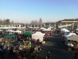 Mercatino dell'Antiquariato torna a Casale Monferrato domenica 10 aprile