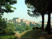 Avvio Servizio Info Point Turistico a Rosignano Monferrato da Sabato 3 Giugno