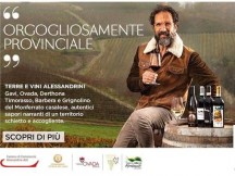 AL - TERRE E VINI ALESSANDRINI 