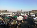 Mercatino dell'Antiquariato a Casale Monferrato, domenica 13 marzo