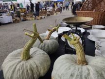 NEL MERCATINO DI OTTOBRE, TRA SCHELETRI E ZUCCHE