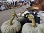 NEL MERCATINO DI OTTOBRE, TRA SCHELETRI E ZUCCHE