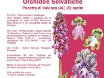 5° Festival delle Orchidee Selvatiche - 22 Aprile