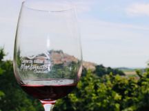 Tutte le sfumature dei Vini Monferrini