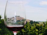 Tutte le sfumature dei Vini Monferrini