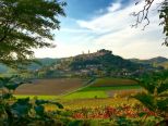 Rosignano e le "Camminate tra le vigne" per GOLOSARIA