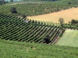Domenica 25 Giugno 2017 a Sala Monferrato alle 17