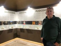 Nuova stanza dei Fossili all’Ecomuseo Pietra da Cantoni di Cella Monte